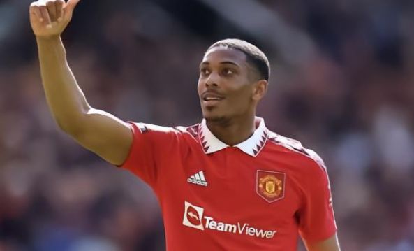 反应则反映 反应则反映